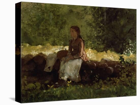 On the Fence-Winslow Homer-Premier Image Canvas