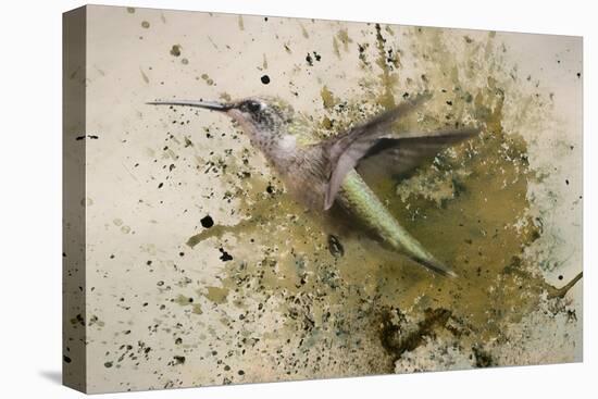 On The Fly-Jai Johnson-Premier Image Canvas