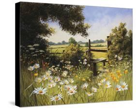 On the Footpath-Mary Dipnall-Stretched Canvas