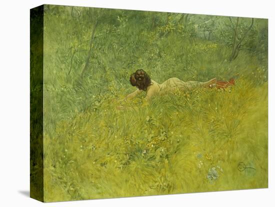 On the Grass; I Grongraset, 1902-Carl Larsson-Premier Image Canvas