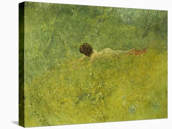 On the Grass; I Grongraset, 1902-Carl Larsson-Premier Image Canvas