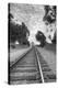 On The Right Track-Chris Moyer-Premier Image Canvas