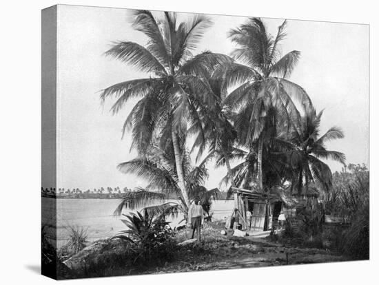 On the Road to Blue Hole, Port Antonio, Jamaica, C1905-Adolphe & Son Duperly-Premier Image Canvas