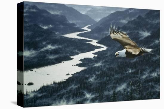 On the Silent Wings of Freedom-Jeff Tift-Premier Image Canvas