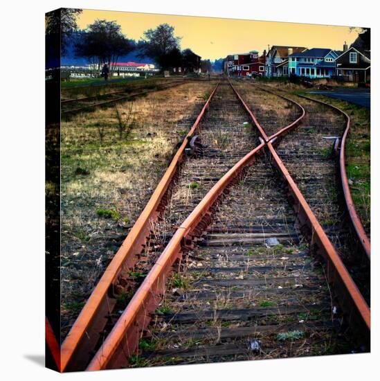 On the Tracks-Jody Miller-Premier Image Canvas