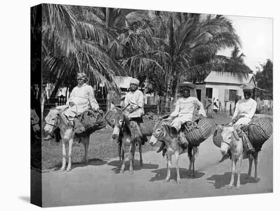 On the Way Home from Market, Jamaica, C1905-Adolphe & Son Duperly-Premier Image Canvas