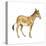 Onager (Equus Onager), Mammals-Encyclopaedia Britannica-Stretched Canvas