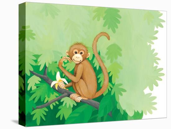 One Little Monkey - Turtle-Kathryn Mitter-Premier Image Canvas