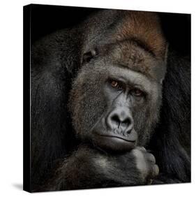 One Moment In Contact-Antje Wenner-Braun-Stretched Canvas