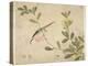 One of a Series of Paintings of Birds and Fruit, Late 19th Century-Wang Guochen-Premier Image Canvas