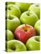 One Red Apple Among Green Apples-Greg Elms-Premier Image Canvas