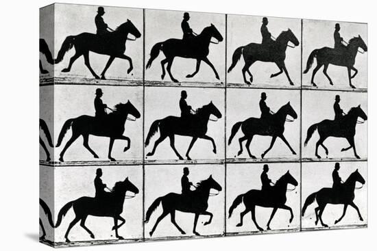 One Stride in Eleven Phases, 1881, Illustration from 'Animals in Motion' by Eadweard Muybridge,…-Eadweard Muybridge-Premier Image Canvas