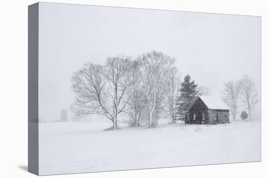 One-Time Homestead-Orah Moore-Stretched Canvas