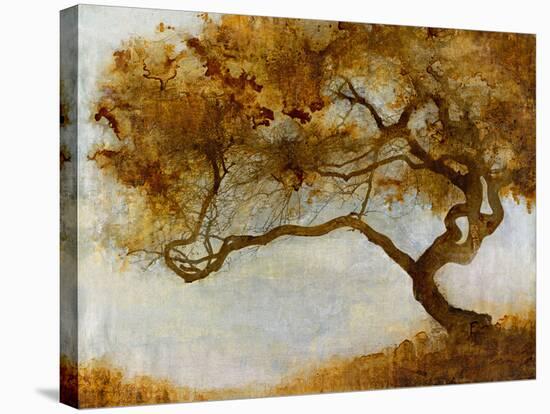 One Tree-Carney-Stretched Canvas