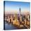 One World Trade Center and Lower Manhattan, New York City, New York, USA-Jon Arnold-Premier Image Canvas