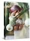 Onions, Chives and Garlic Chives-null-Premier Image Canvas