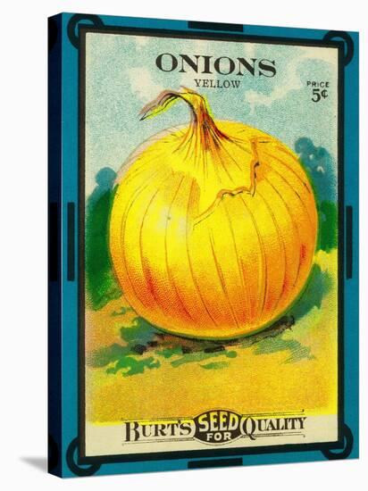 Onions Seed Packet-Lantern Press-Stretched Canvas