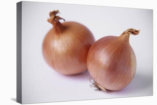 Onions-Veronique Leplat-Premier Image Canvas