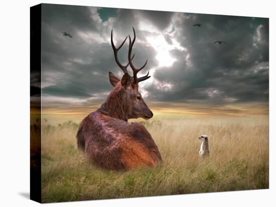 Oonder-Lynne Davies-Premier Image Canvas