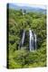 Opaekaa Falls, Kauai, Hawaii, United States of America, Pacific-Michael Runkel-Premier Image Canvas