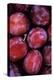 Opal Plums-Den Reader-Premier Image Canvas