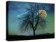 Opalescent Sky-Tina Lavoie-Premier Image Canvas