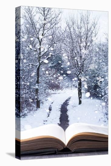 Open Book with Winter Woodland Background and falling Snow-Chris_Elwell-Premier Image Canvas