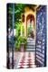 Open Doorway To Southern Living-George Oze-Premier Image Canvas