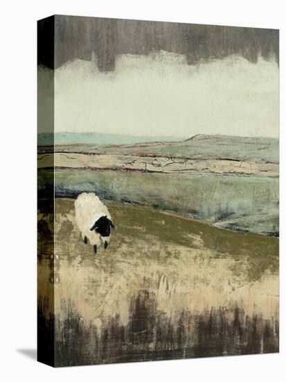 Open Meadow I-Grace Popp-Stretched Canvas