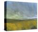 Open Moor-Paul Bailey-Stretched Canvas