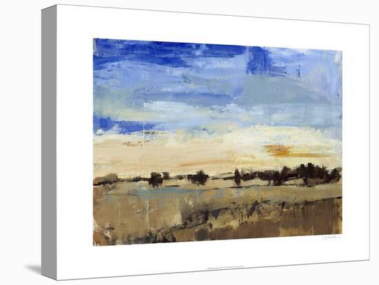 Open Range II-Tim O'toole-Stretched Canvas