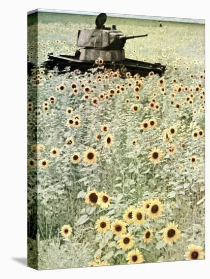 Operation Barbarossa, 1942-German photographer-Premier Image Canvas