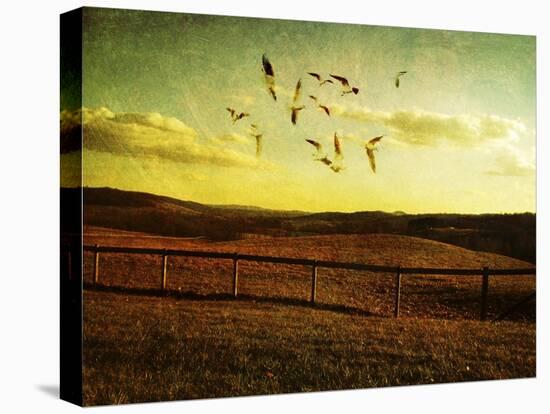 Opportunity Fleeting 2-Christy Ann-Premier Image Canvas