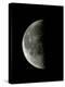 Optical Image of a Waning Half Moon-John Sanford-Premier Image Canvas