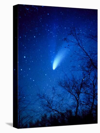 Optical Image of Comet Hale-Bopp, 6 April 1997-Detlev Van Ravenswaay-Premier Image Canvas