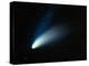 Optical Image of Comet Hale-Bopp In the Night Sky-Dr. Fred Espenak-Premier Image Canvas