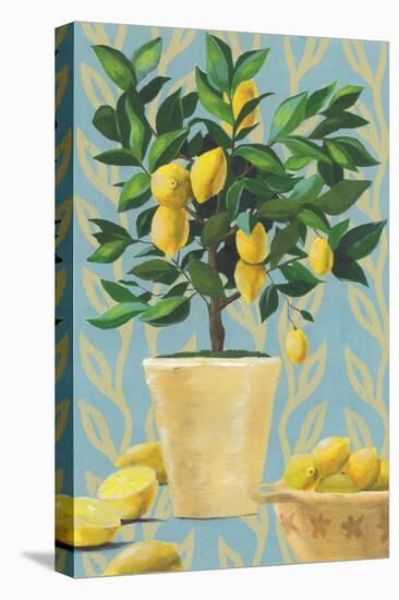 Opulent Citrus I-Grace Popp-Stretched Canvas