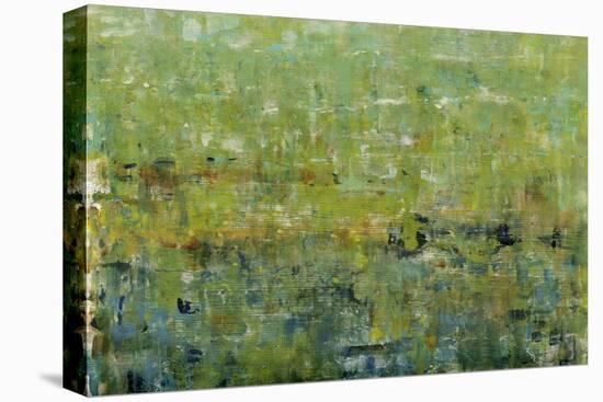 Opulent Field I-Tim O'toole-Stretched Canvas