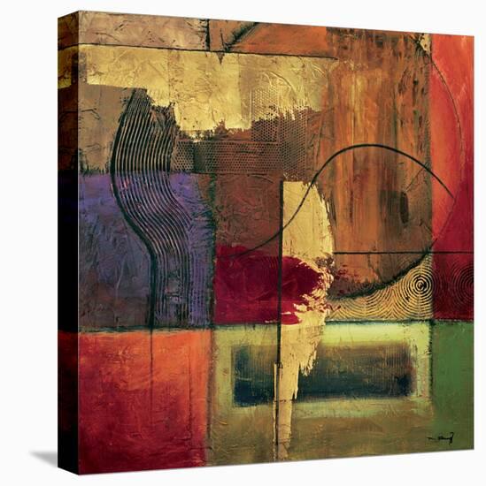 Opulent Relief I-Mike Klung-Stretched Canvas