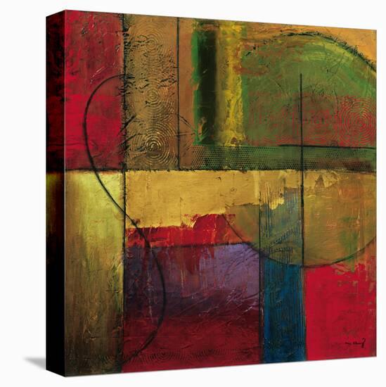 Opulent Relief I-Mike Klung-Stretched Canvas
