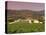 Opus One Winery, Napa Valley, California-John Alves-Premier Image Canvas