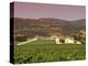 Opus One Winery, Napa Valley, California-John Alves-Premier Image Canvas