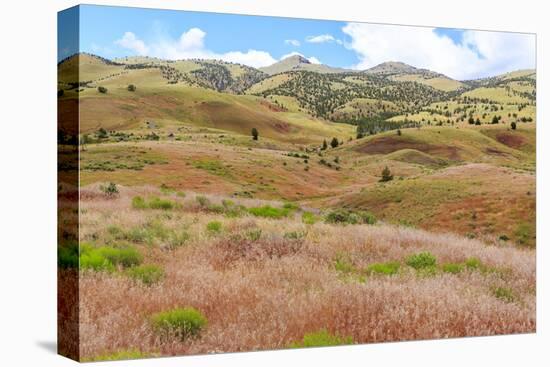 OR, Redmond, Bend, Mitchell. Series of low clay hills striped in colorful bands of minerals-Emily Wilson-Premier Image Canvas