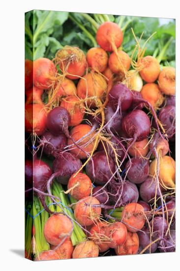 OR, Redmond, Bend. The Bend Farmers Market at Top of Mirror Pond Park. Colorful radishes.-Emily Wilson-Premier Image Canvas