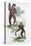 Orang Utang and Gibbon, 1822-null-Premier Image Canvas