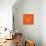 Orange Bear Polygon-Lisa Kroll-Stretched Canvas displayed on a wall