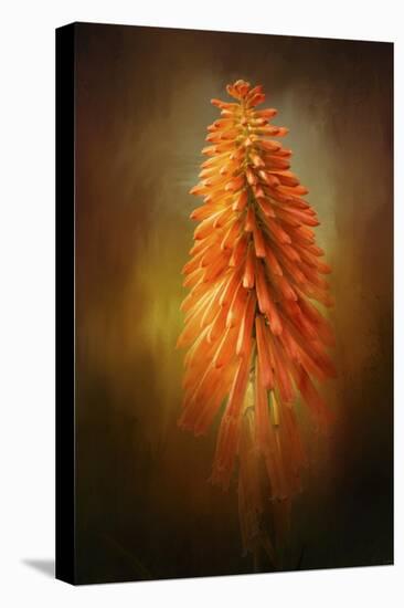 Orange Blast in the Garden-Jai Johnson-Premier Image Canvas