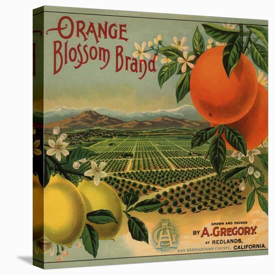 Orange Blossom Brand - Redlands, California - Citrus Crate Label-Lantern Press-Stretched Canvas