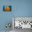 Orange Elephant Ear Sponge (Agelas Clathrodes) Santa Lucia-Franco Banfi-Premier Image Canvas displayed on a wall