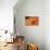 Orange Flame-Dana Styber-Premier Image Canvas displayed on a wall